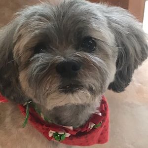 Meet your Posher, Paige